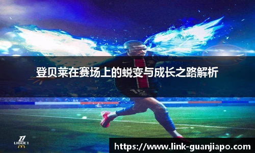 管家婆资料大全