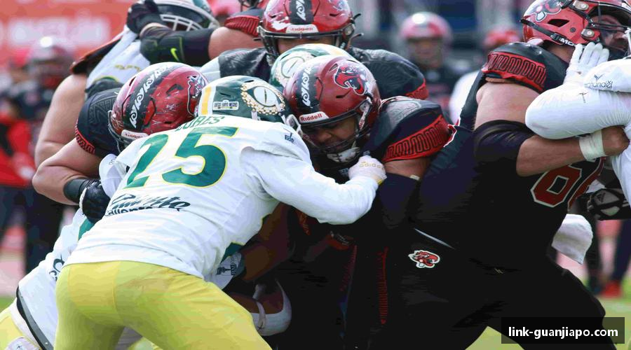 管家婆资料公开一肖网站-管家婆官网